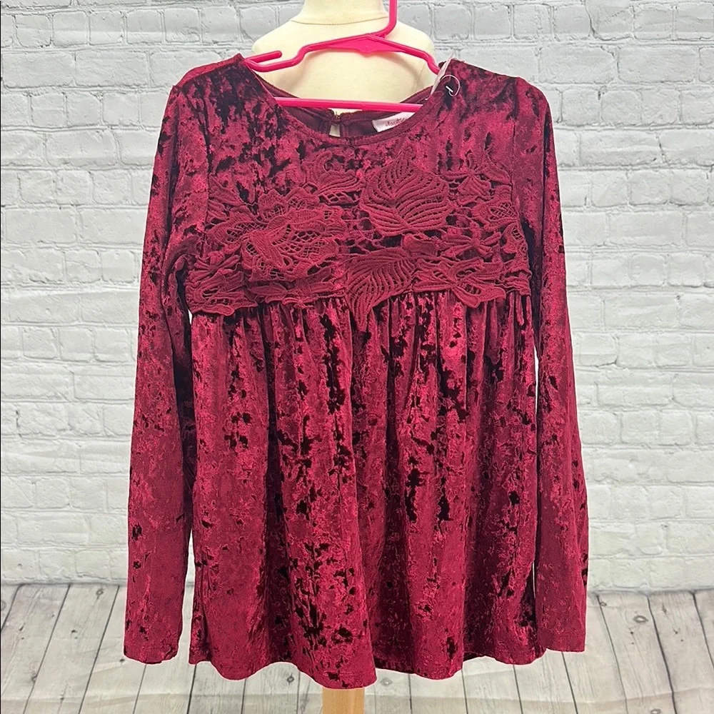 Daytrip Red Velvet Smocked Blouse